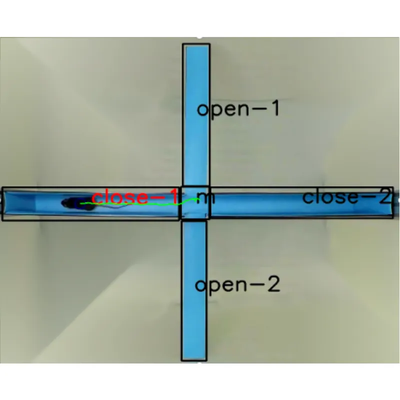 এলিভেটেড প্লাস গোলকধাঁধা