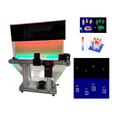 পশু ট্রেডমিল গাইট বিশ্লেষণ সিস্টেম