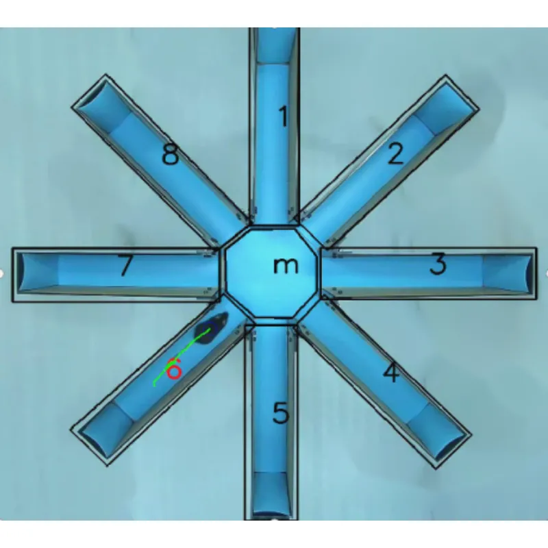 রেডিয়াল আর্ম গোলকধাঁধা